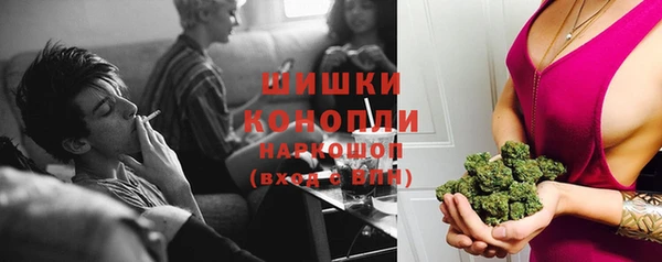 СК Волоколамск