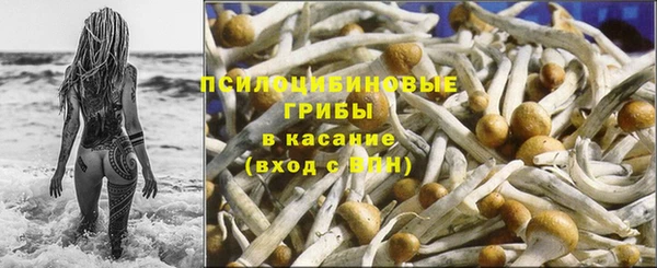 СК Волоколамск
