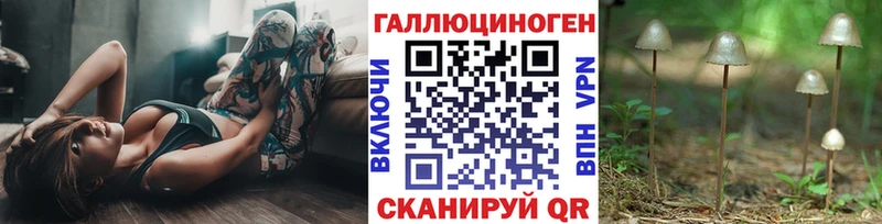 Купить где  Миллерово  Галлюциногенные грибы GOLDEN TEACHER 